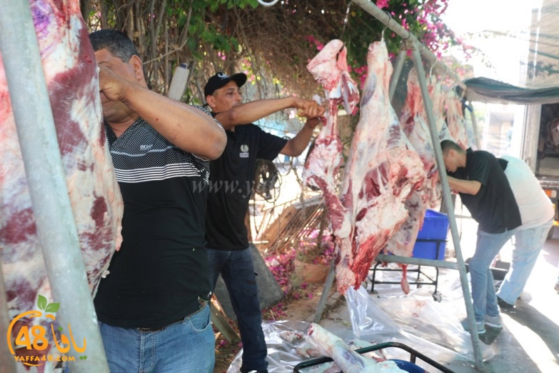 lod8om ada73y (88).JPG